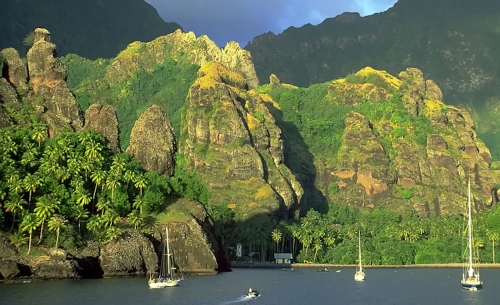 625 Marquesas tropical moist forests - Jack Grove